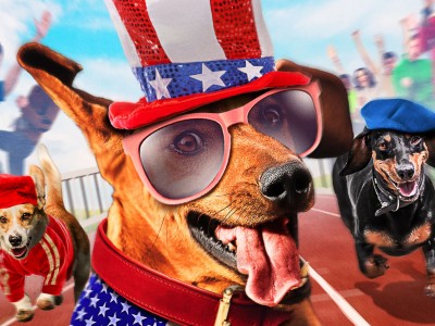 Супер Такса