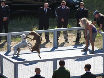 Поводырь (3)