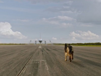 На привязи у взлетной полосы