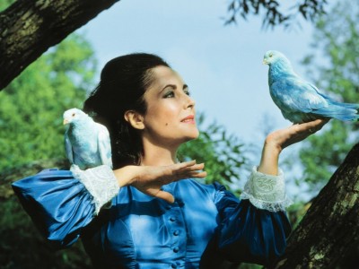 Синяя птица