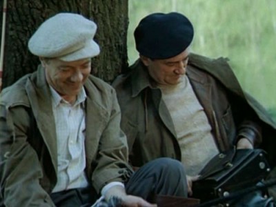 Серые волки (3)