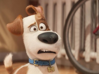 Тайная жизнь домашних животных