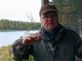 Таежная история