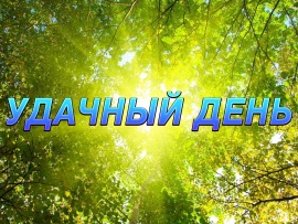 Удачный день