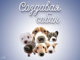 Создавая собак