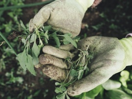 Один день из жизни фермера