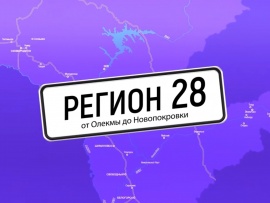 Регион 28