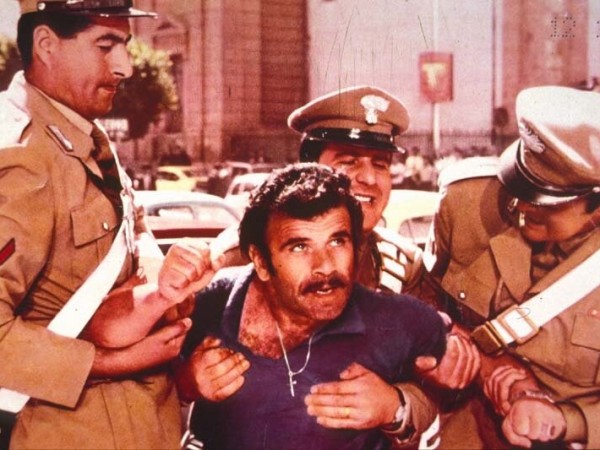 Сова появляется днём (2)