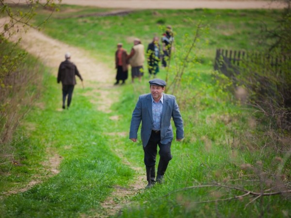 Петрович (5)