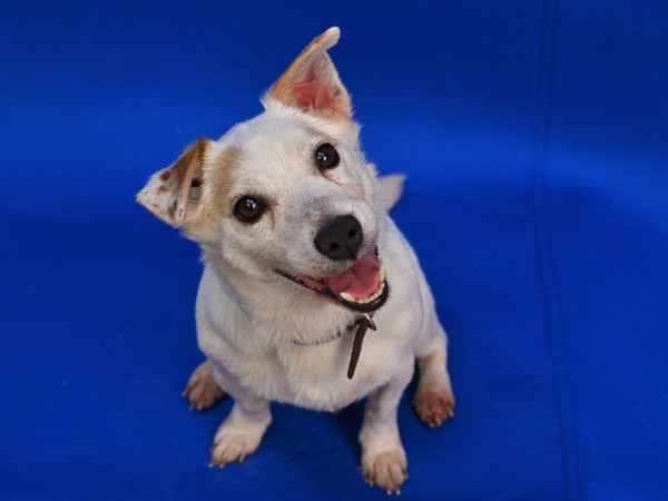 Родители строгого режима (4)