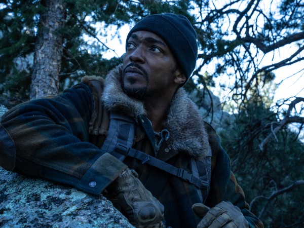 Хищные земли (5)