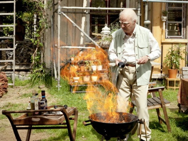 Столетний старик, который вылез в окно и исчез (3)