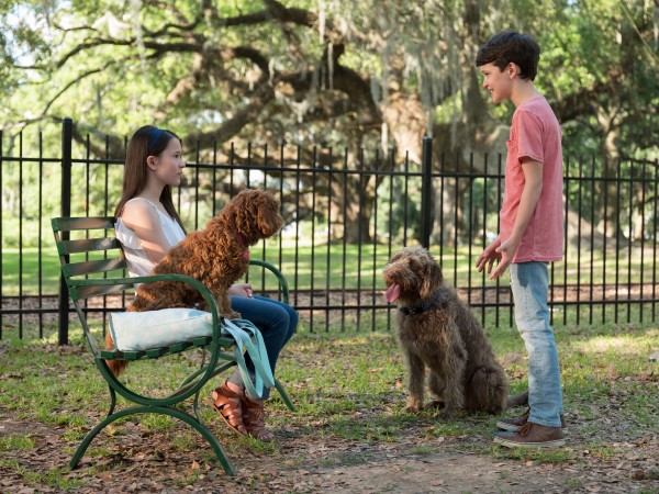 Думай как собака (3)