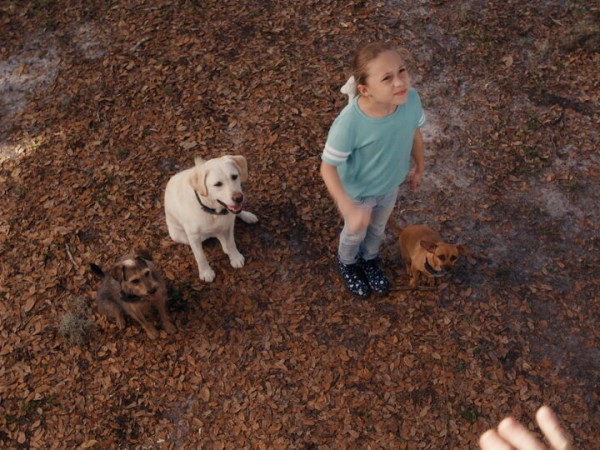 Хвостатые пришельцы (4)