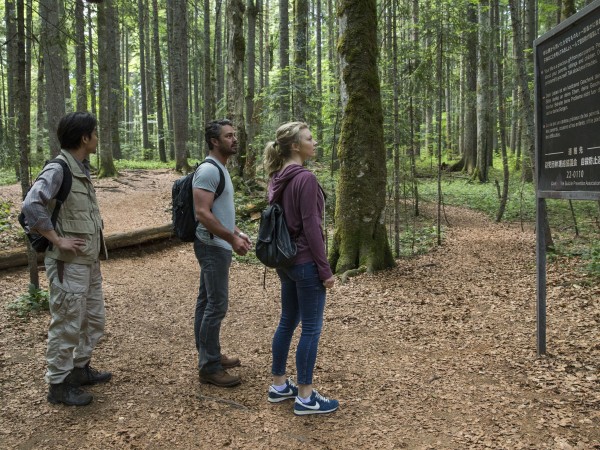 Лес призраков (6)