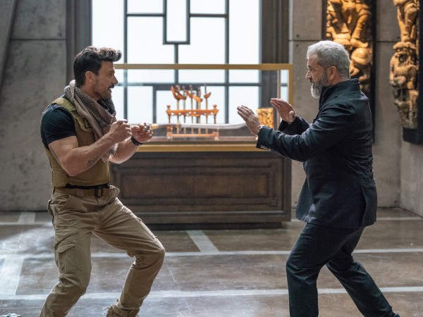 День курка (4)