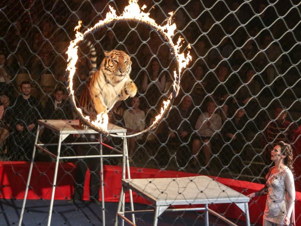 Маргарита Назарова (5)