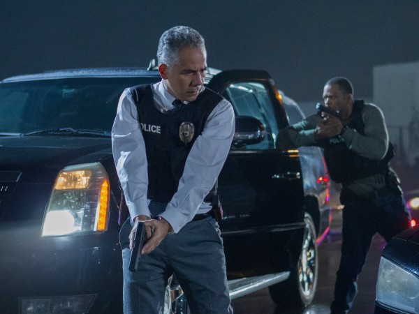 Багровая мята (6)