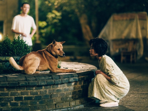 Мой Хатико (2)