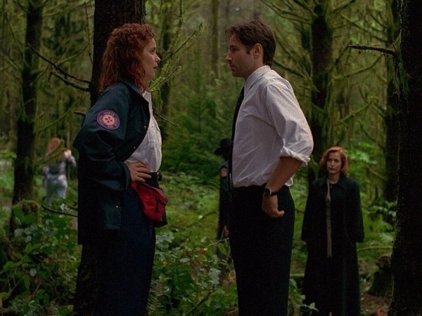 Секретные материалы (4)