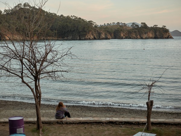 Пингвины моей мамы (4)