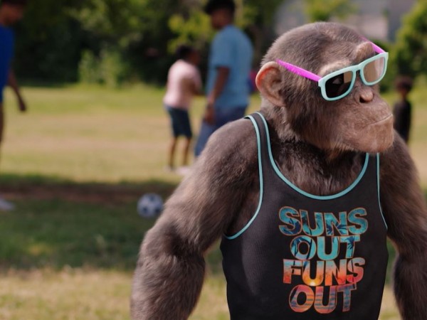 Шимпанзе под прикрытием