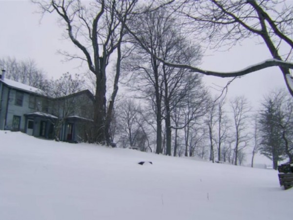 Мы ещё здесь (6)