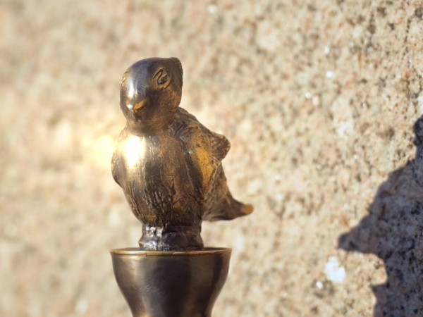 Чижик-Пыжик возвращается (6)