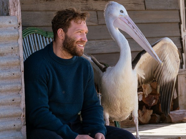 Мой друг мистер Персиваль (4)