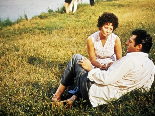 Подсолнухи (6)