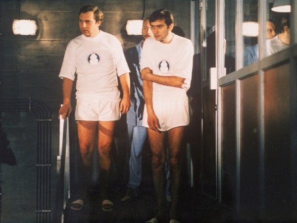 Новые амазонки (3)