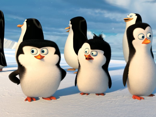 Мадагаскар пингвиндері (2)