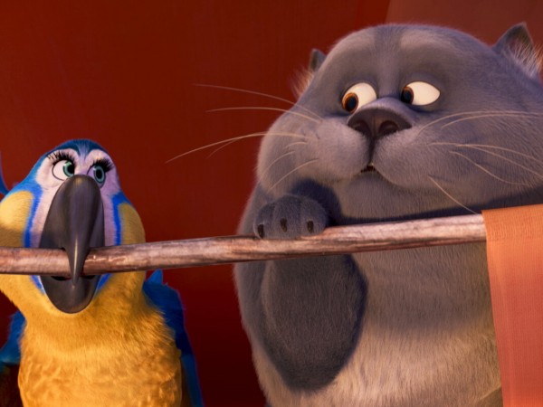 Большой кошачий побег (2)