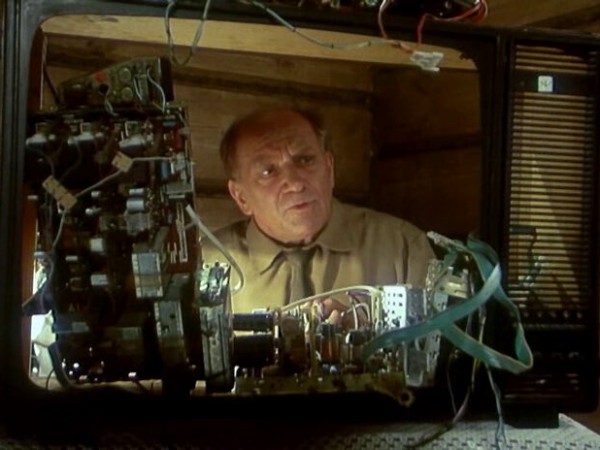 Сирота казанская (3)