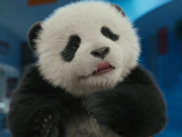 Операция «Панда» (3)