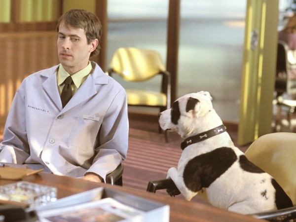 Мой криминальный дядюшка (6)