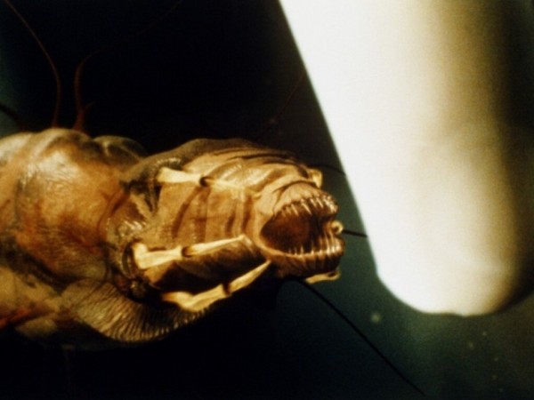 Факультет (6)