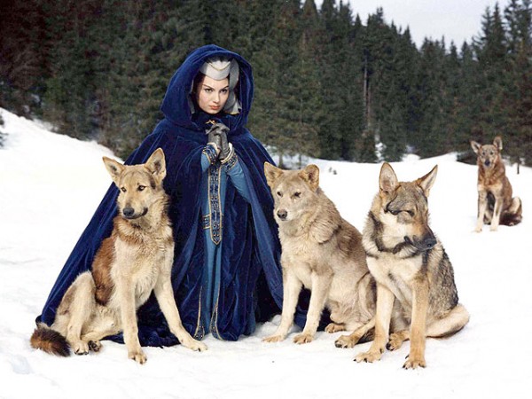 Тайна Бургундского двора (6)