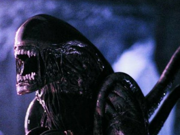 Чужой против Хищника (4)