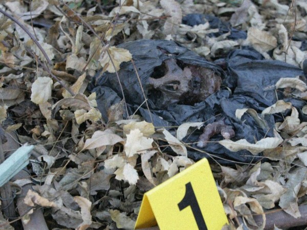 Плёнки из Поукипзи (4)