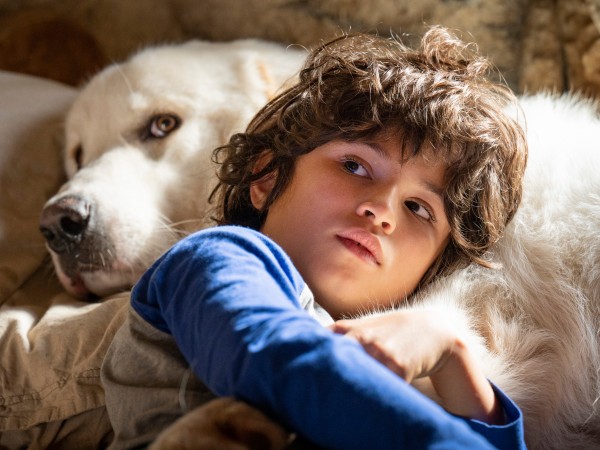 Белль и Себастьян: Новое поколение (2)