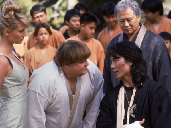 Ниндзя из Беверли-Хиллз (2)