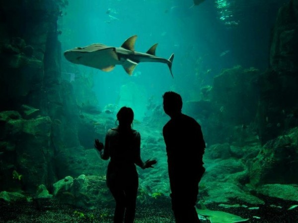 Ты, мой дом (4)