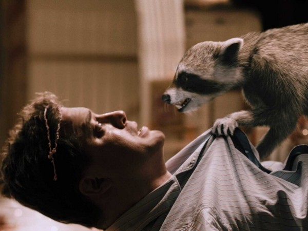 Месть пушистых (4)