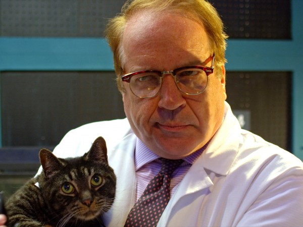 Пес под прикрытием (3)