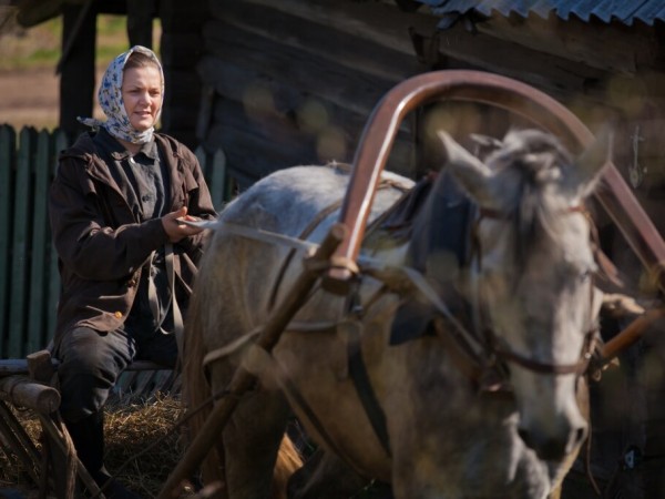 Петрович (6)