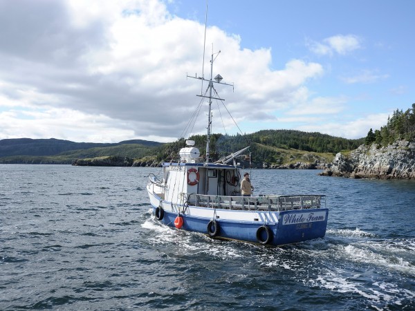 Большая афера (4)