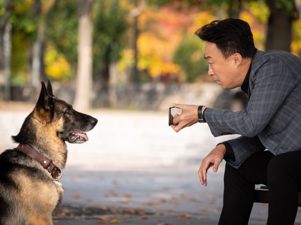 Спасти панду (2)