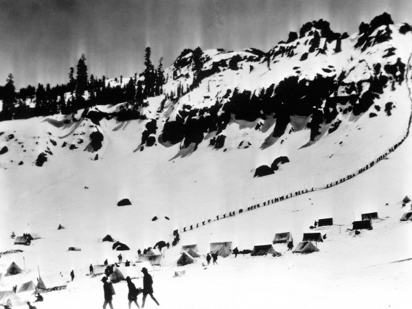 Золотая лихорадка (3)