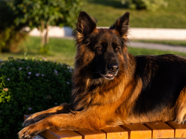 Маня и Груня (4)